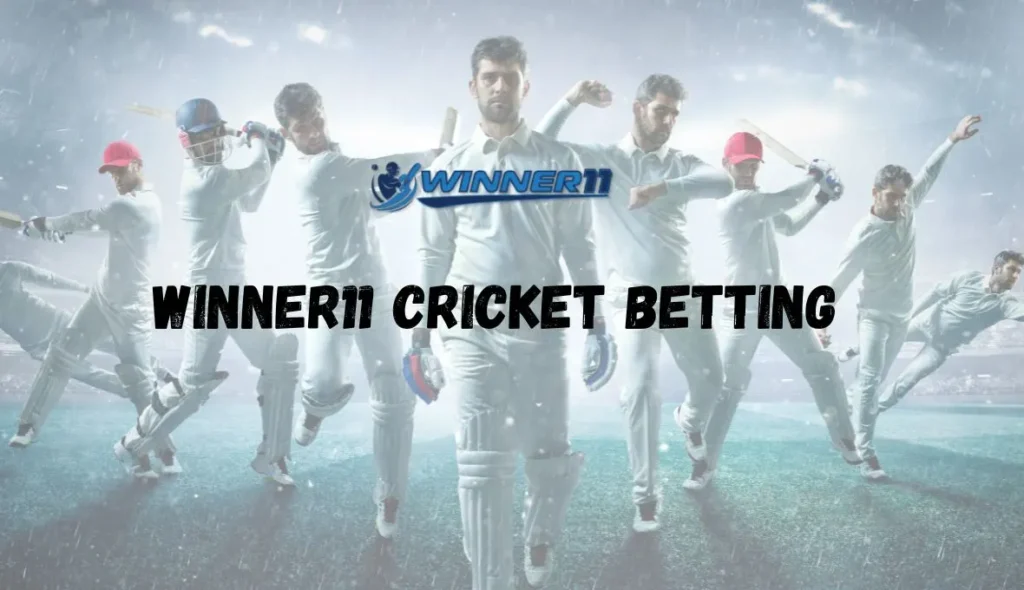Winner11 Cricket Betting